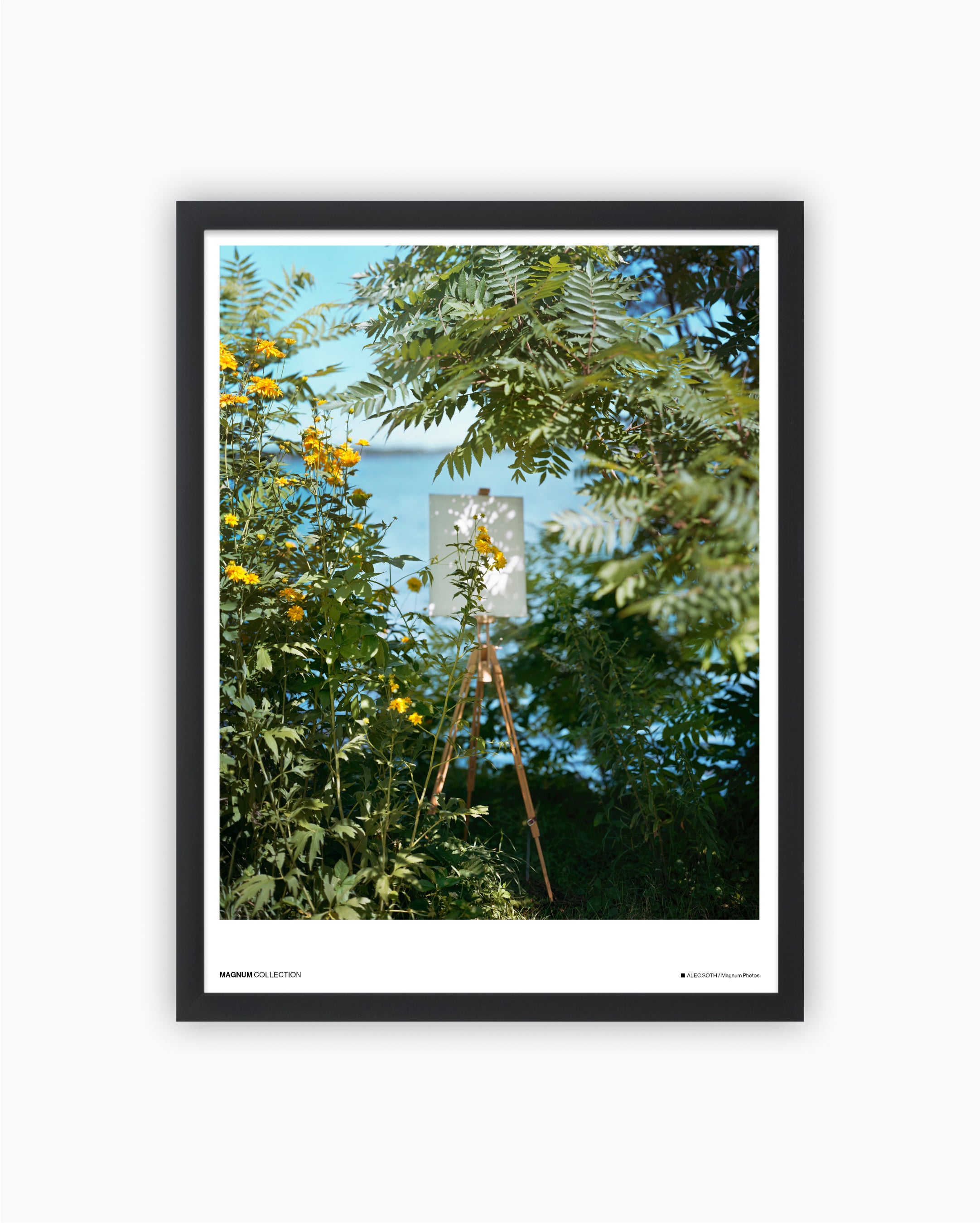 Magnum Poster: White Bear Lake, Minnesota, USA, 2019