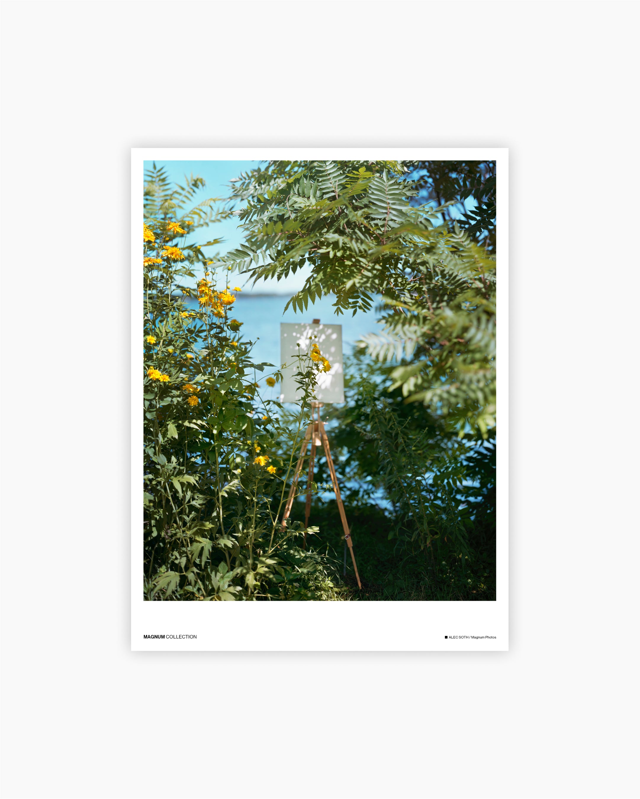 Alec Soth