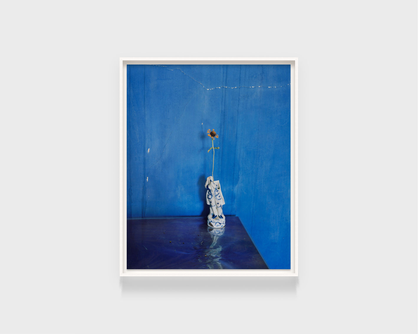 Alec Soth: A Bounty of Surface