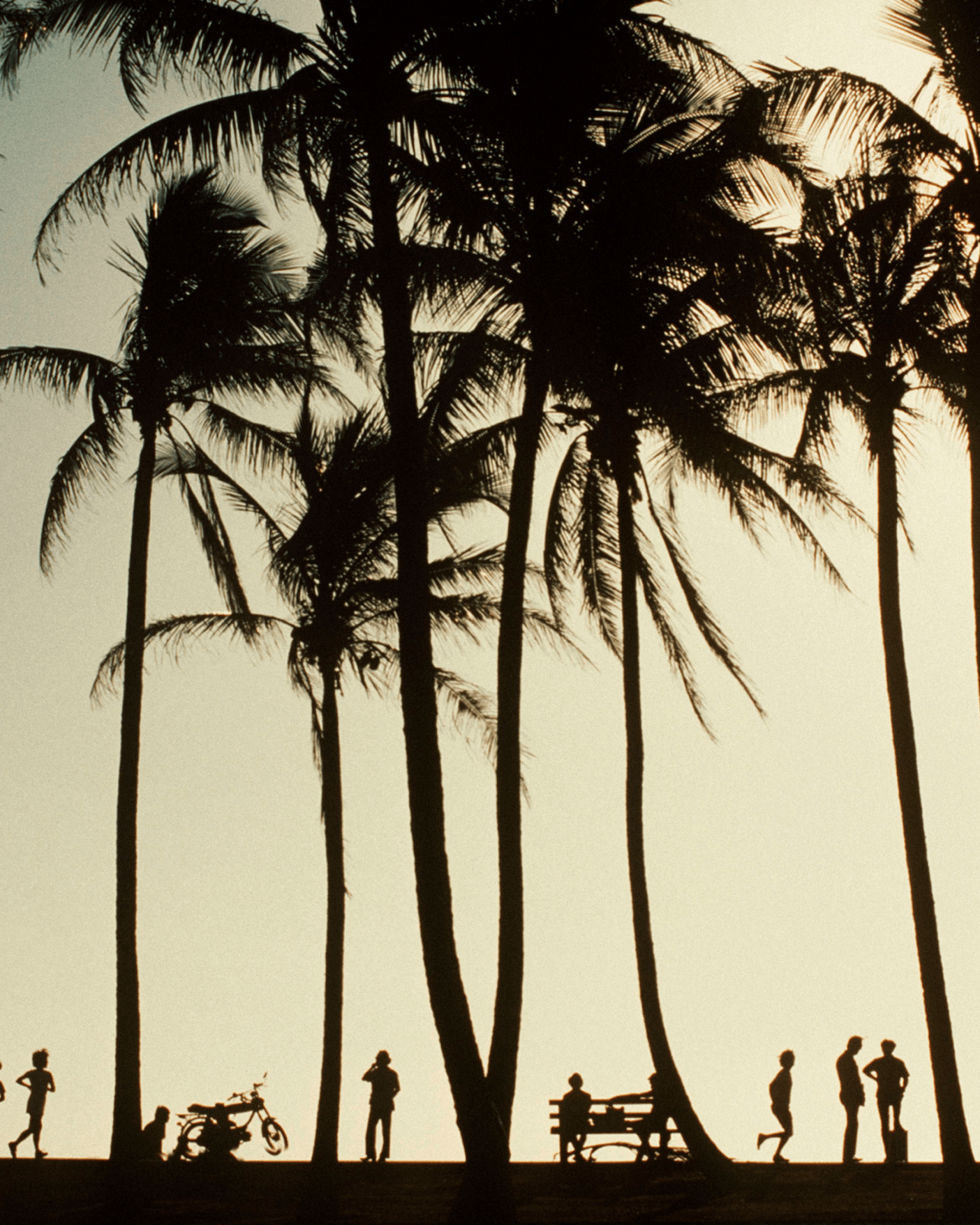 Magnum Square Print: Dennis Stock