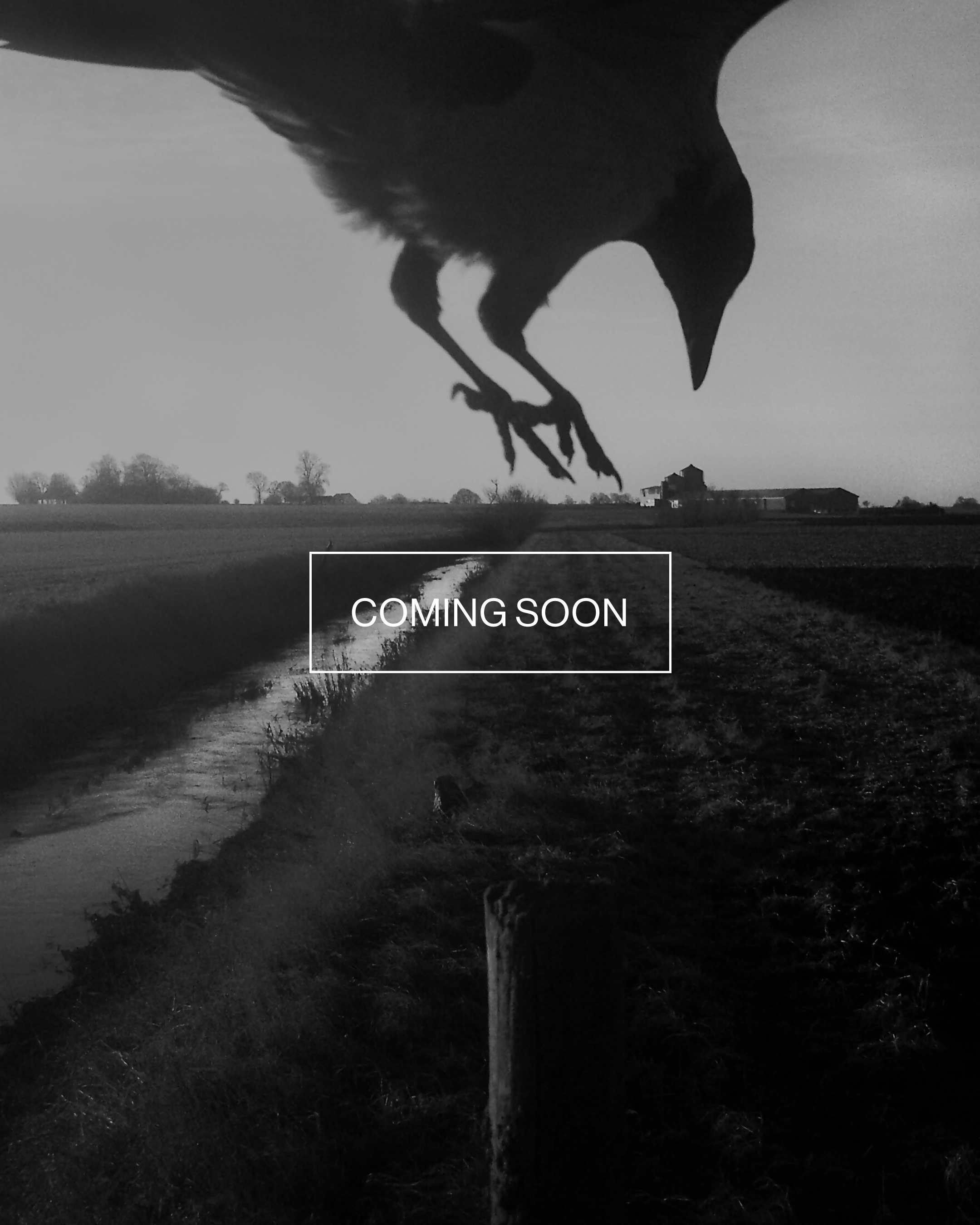 Magnum Square Print: Stephen Gill