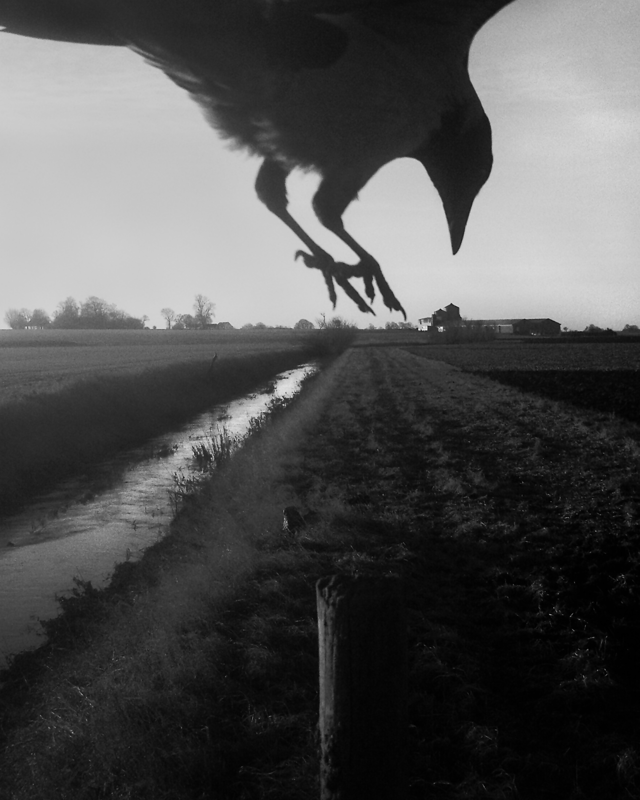 Magnum Square Print: Stephen Gill