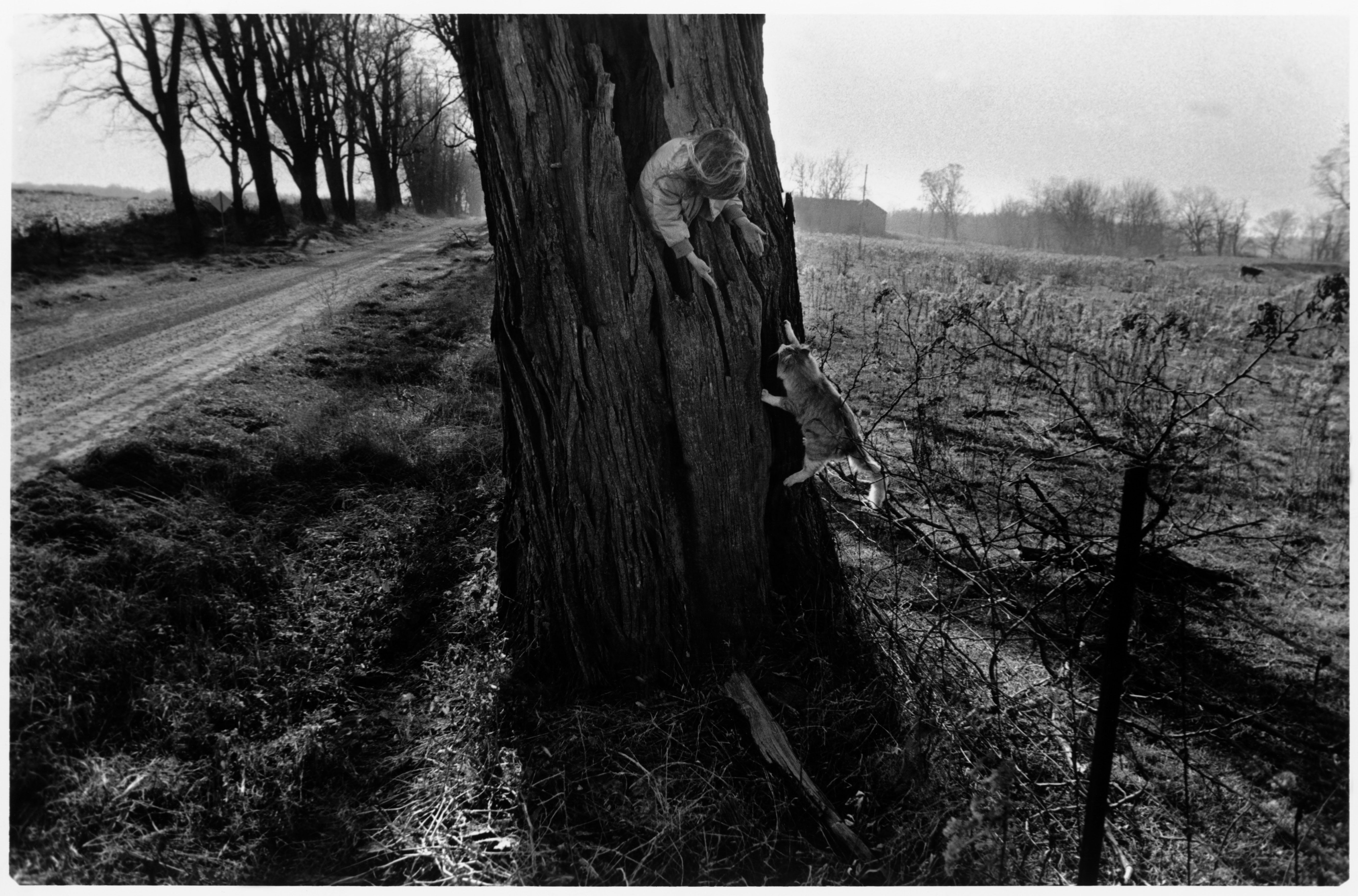 Fine Print: Naomi Towell with her cat in a hollow black locust tree. Lambton County, Ontario, Canada, 1990