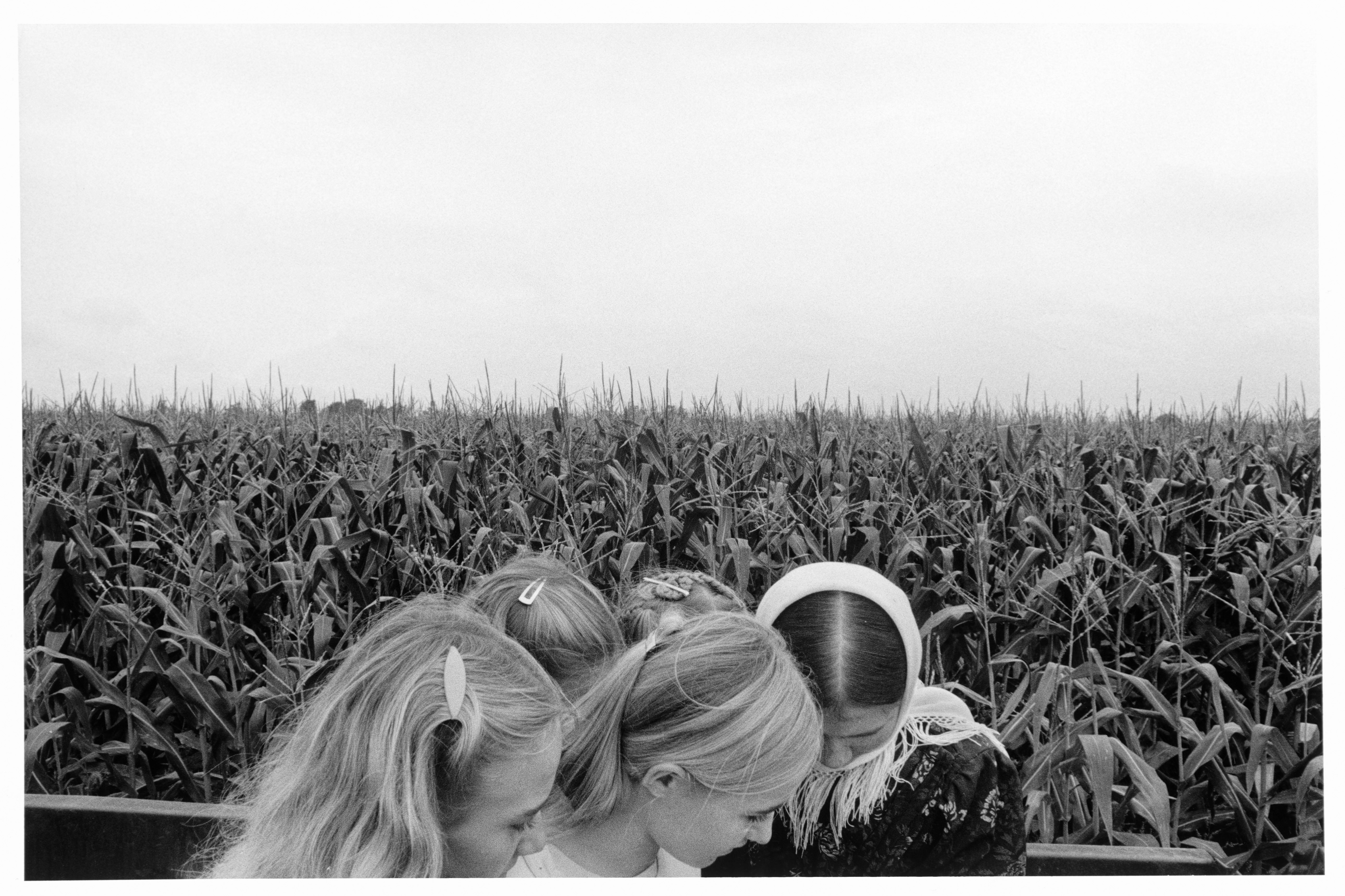 Fine Print: Lambton County, Ontario, Canada, 1990
