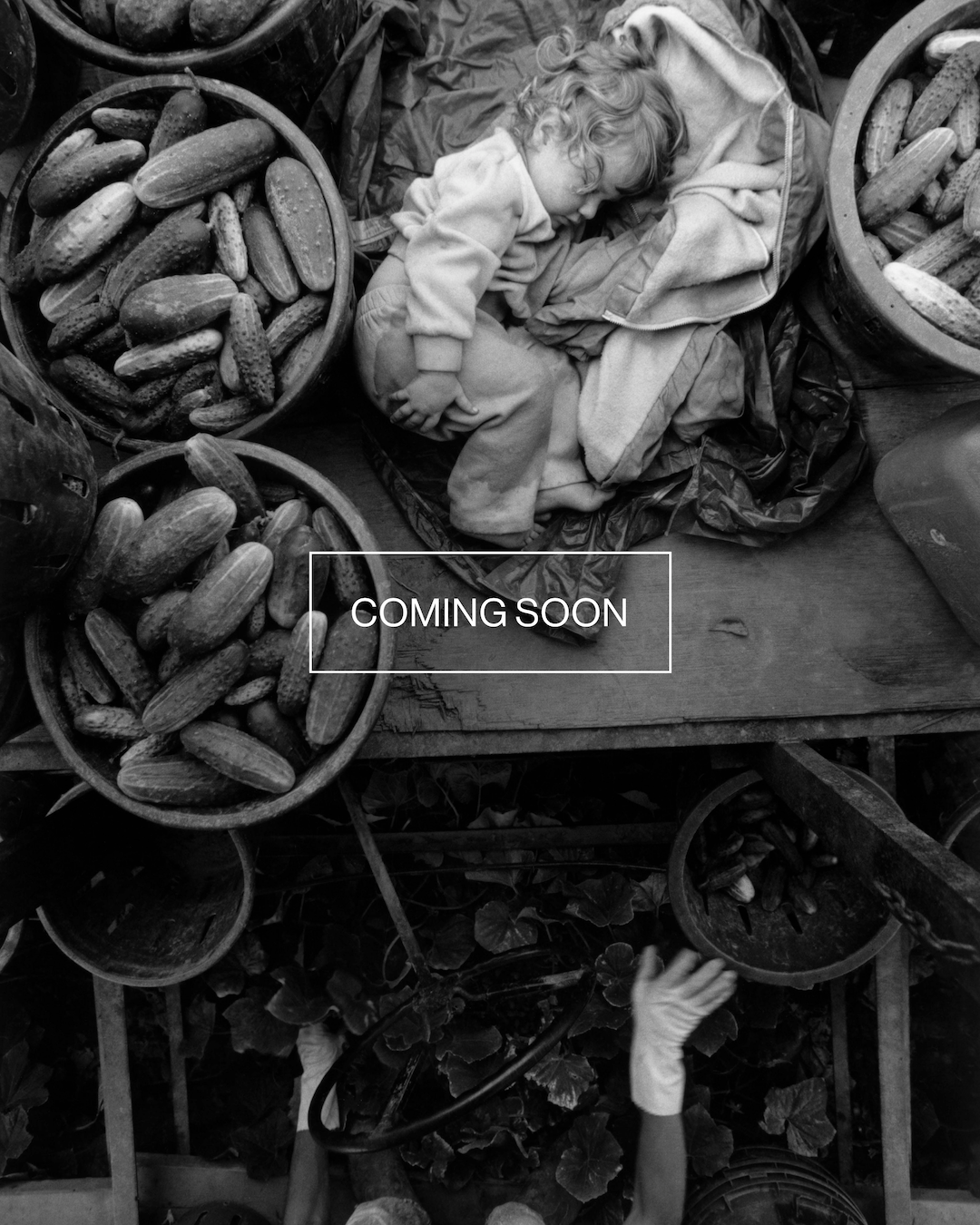 Magnum Square Print: Larry Towell