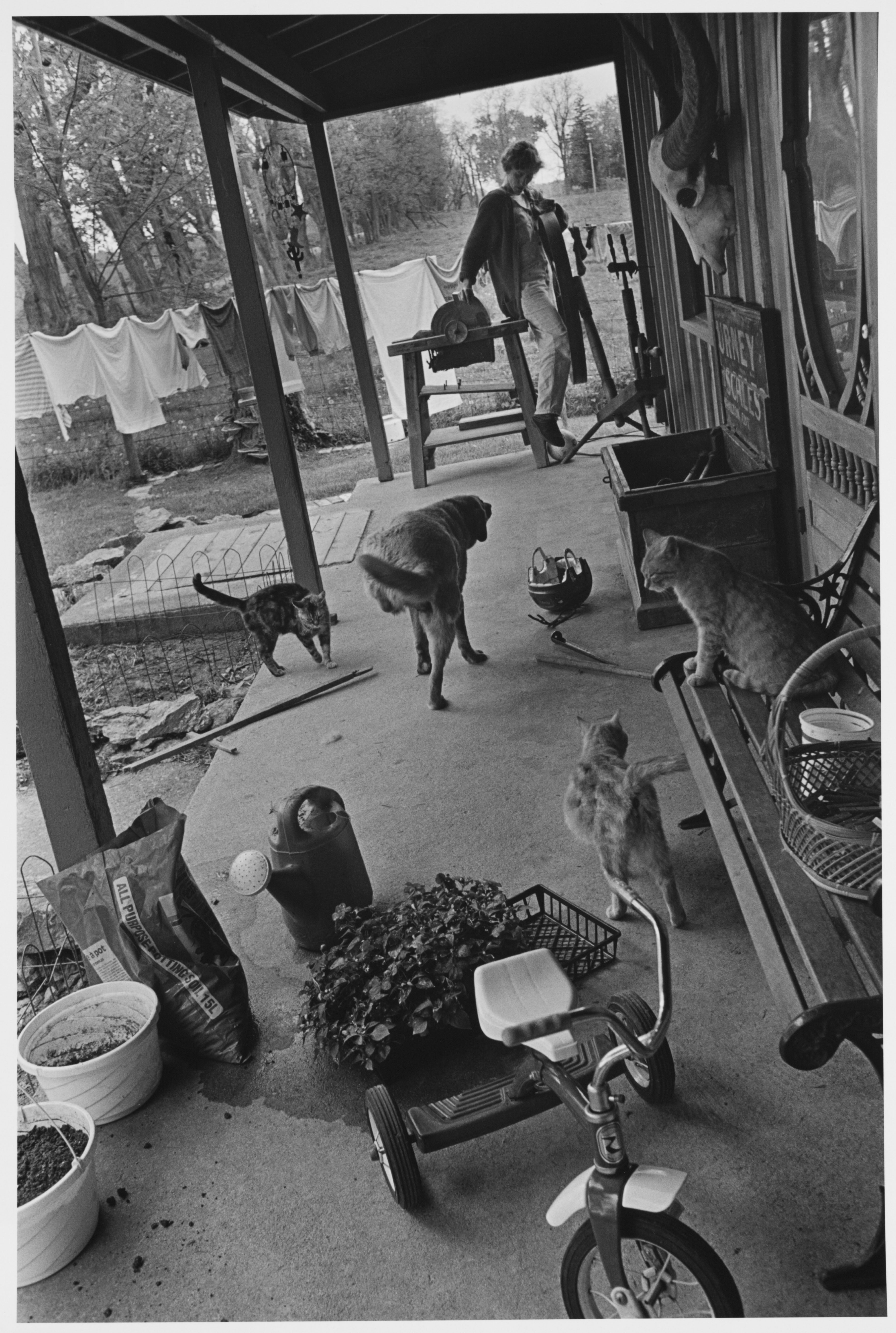Fine Print: Ann Towell enters the porch from the south side in the process of transplanting flowers into flowerbeds. Lambton County, Ontario, Canada, 1998