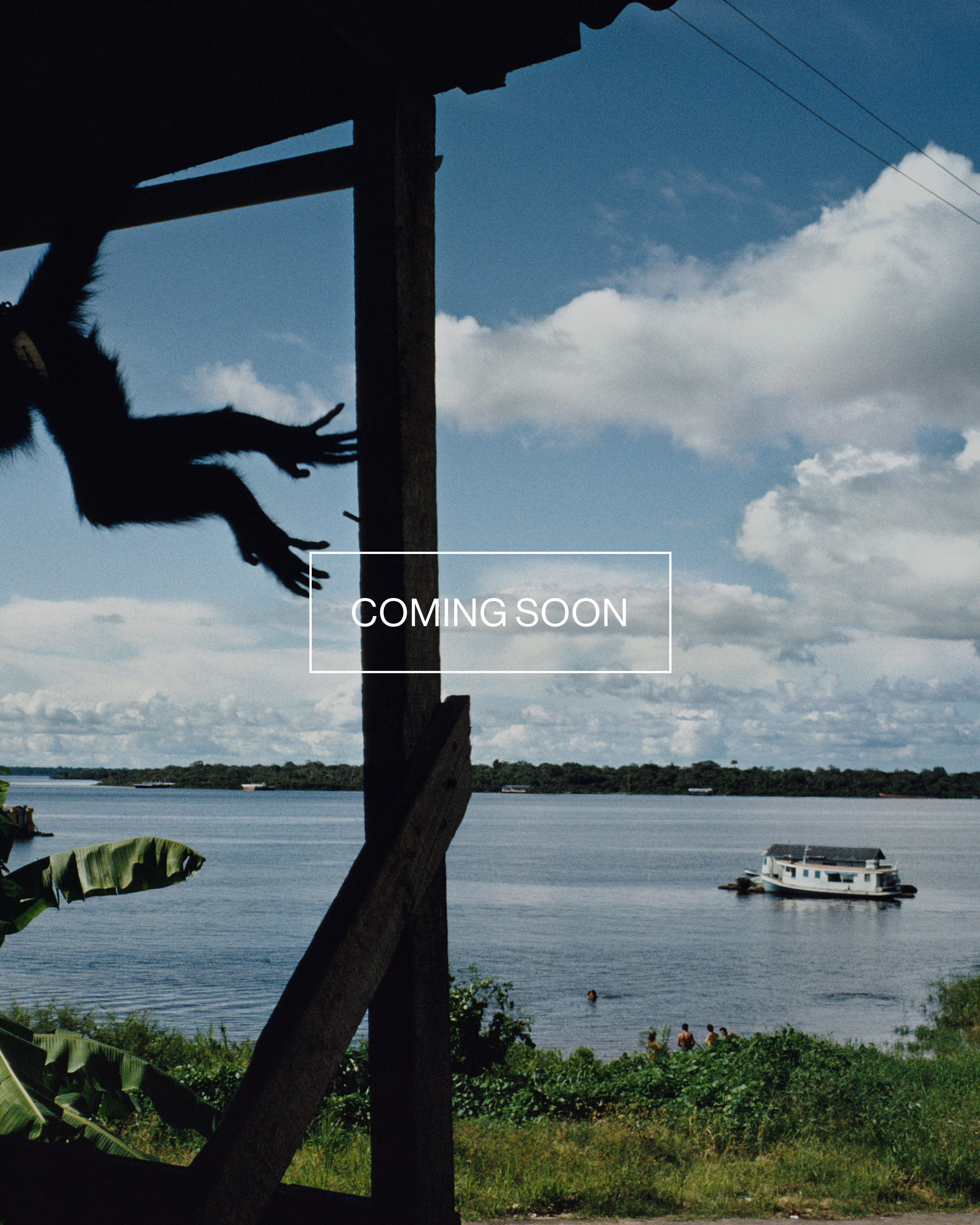 Magnum Square Print: Alex Webb