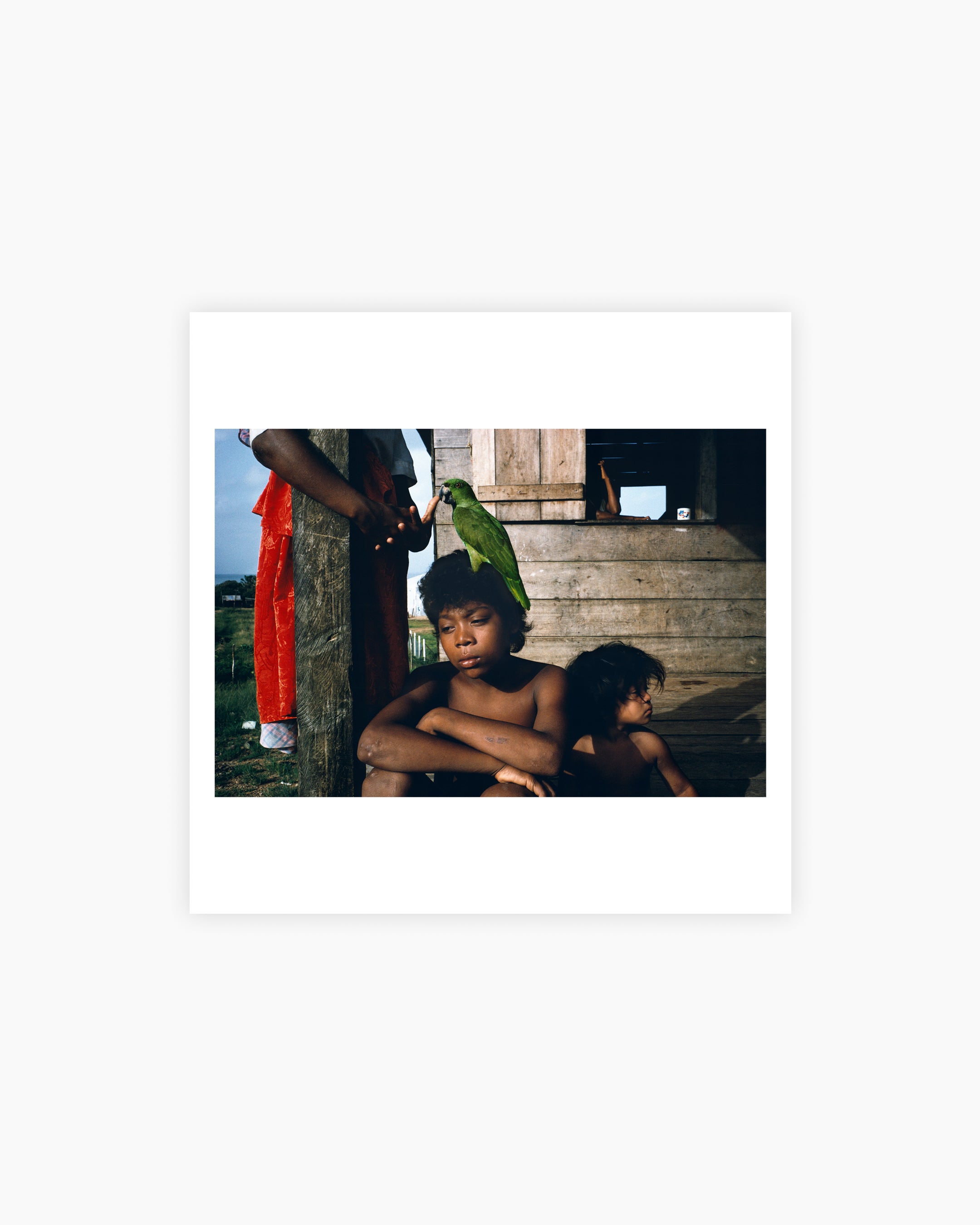 Magnum Square Print: Alex Webb