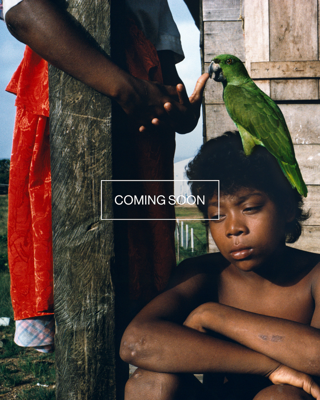 Magnum Square Print: Alex Webb