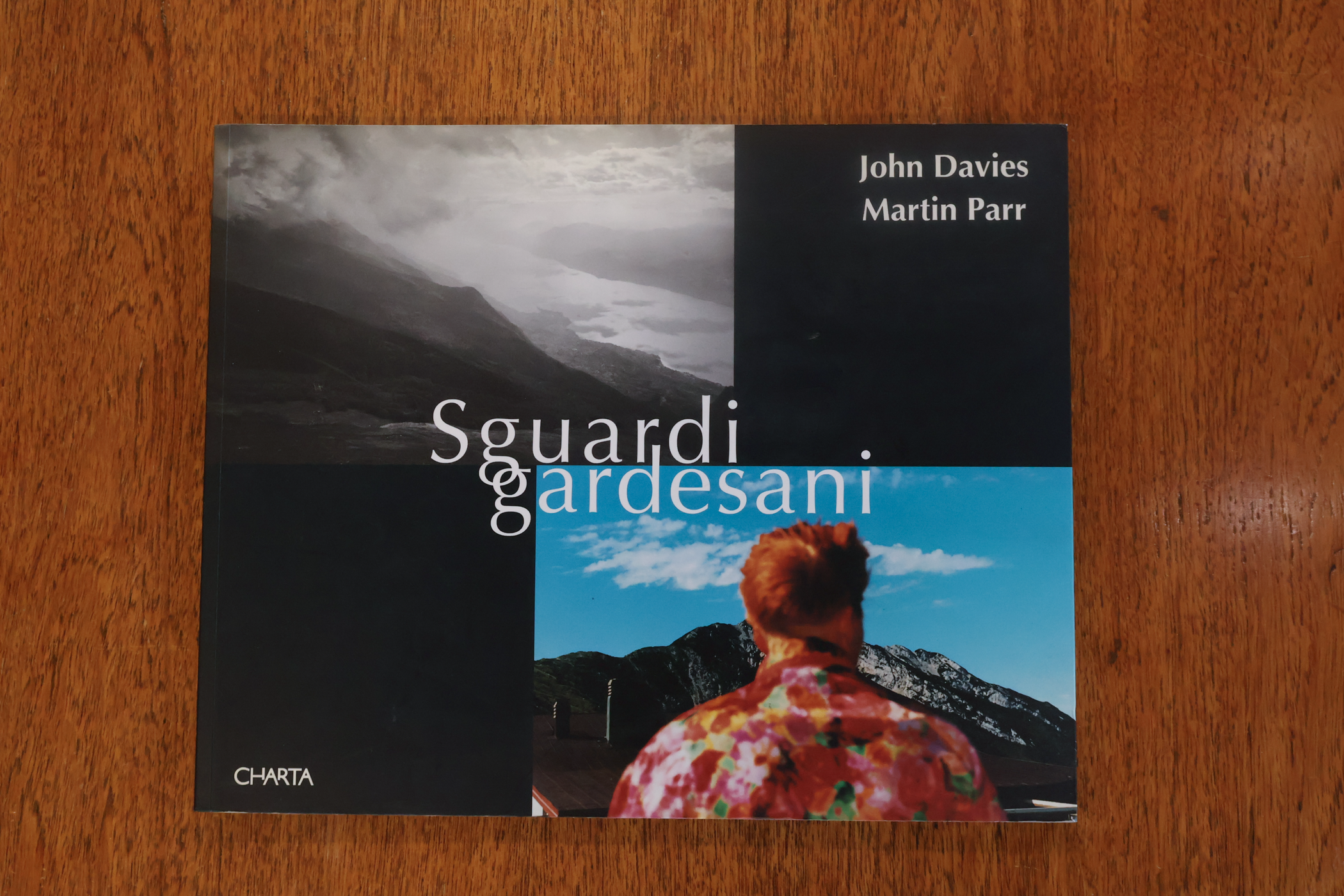 Sguardi Gardesani (Well Worn Library Copy)