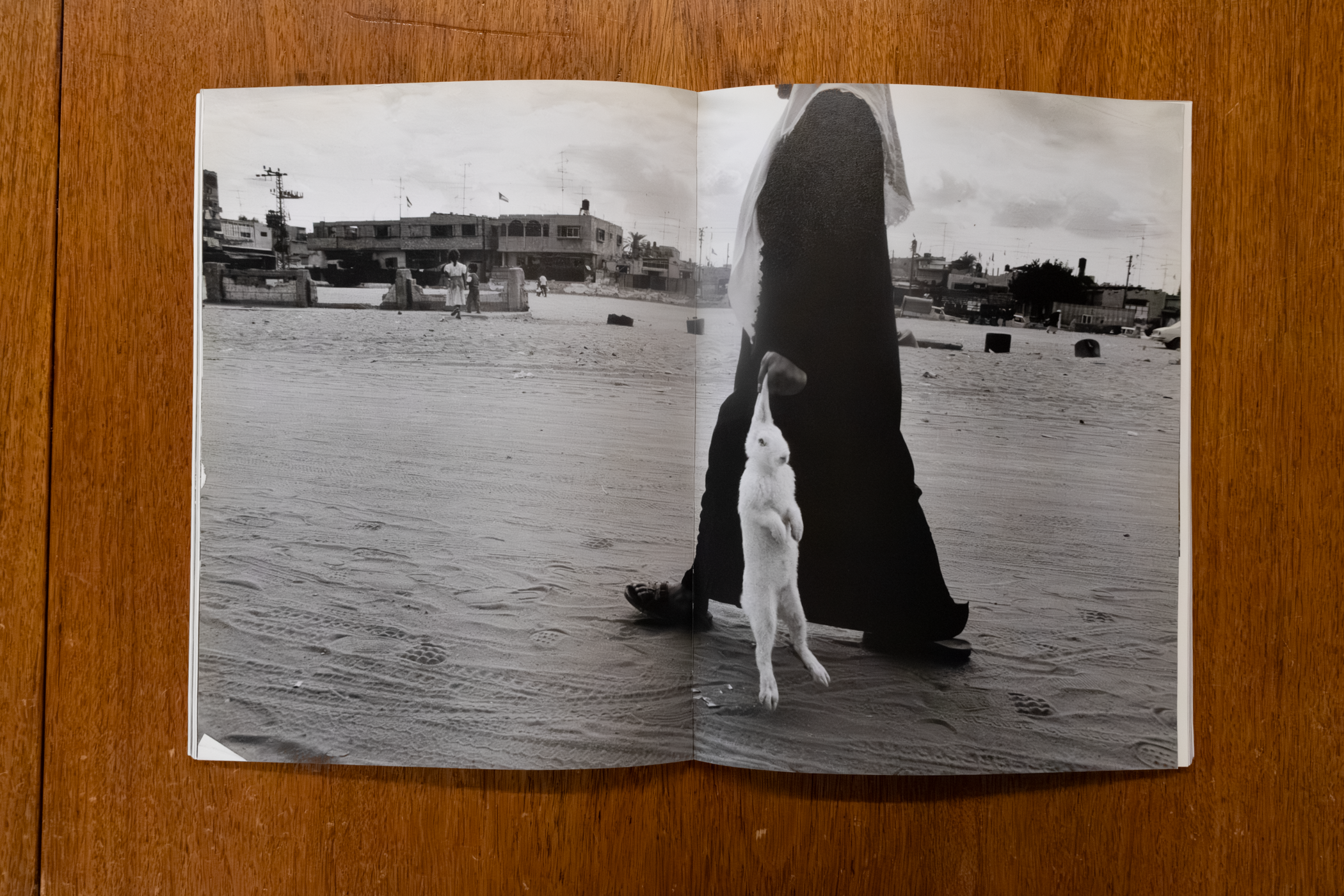 Then Palestine (Library Copy)