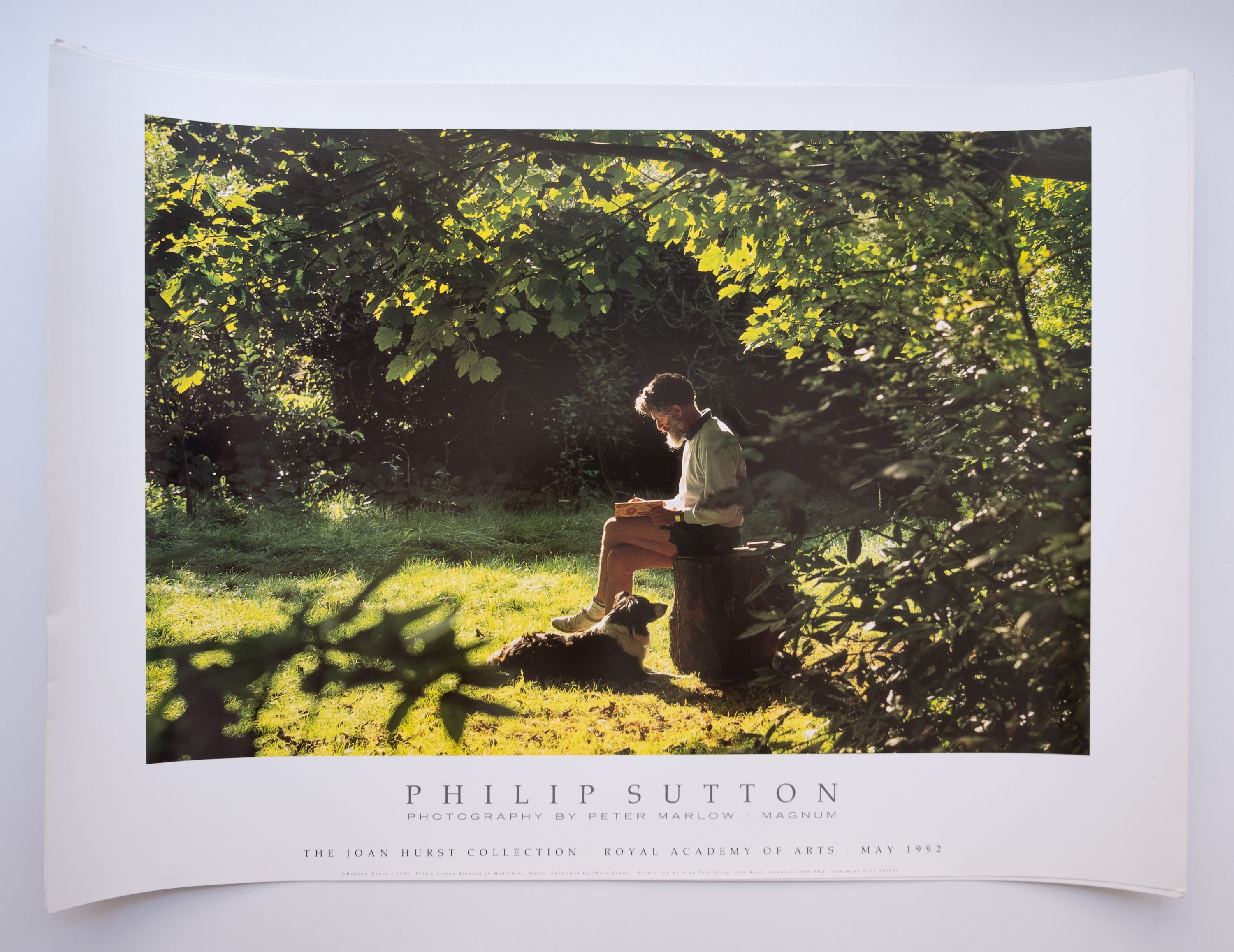 Magnum Vintage Poster: Phillip Sutton, Royal Academy of Arts, 1992