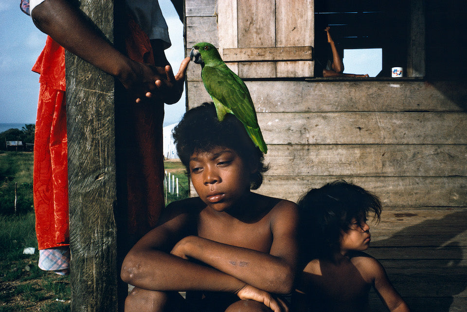 Magnum Square Print: Alex Webb