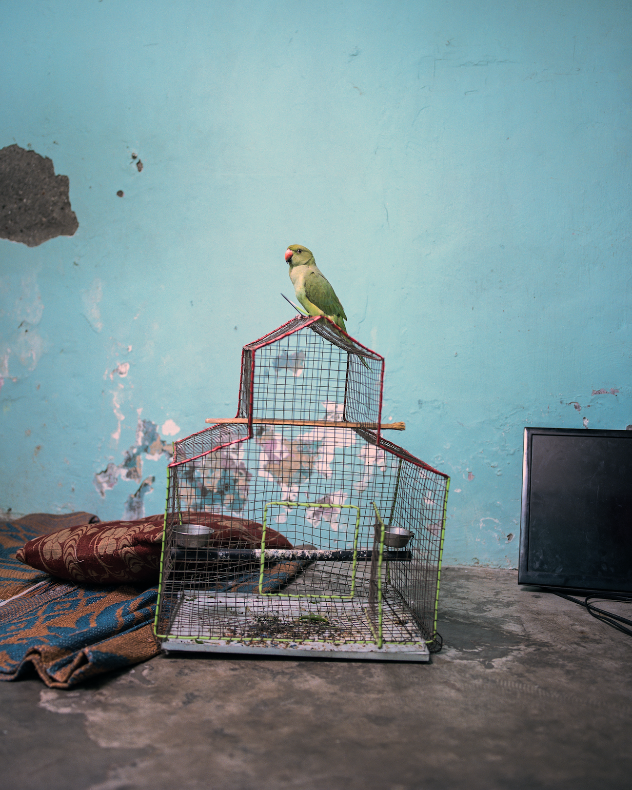 Magnum Square Print: Kalpesh Lathigra