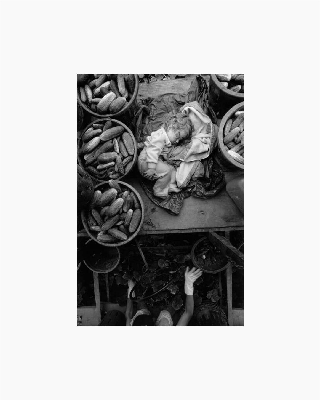 Fine Print: Mennonite. Kent County, Ontario, Canada, 1996