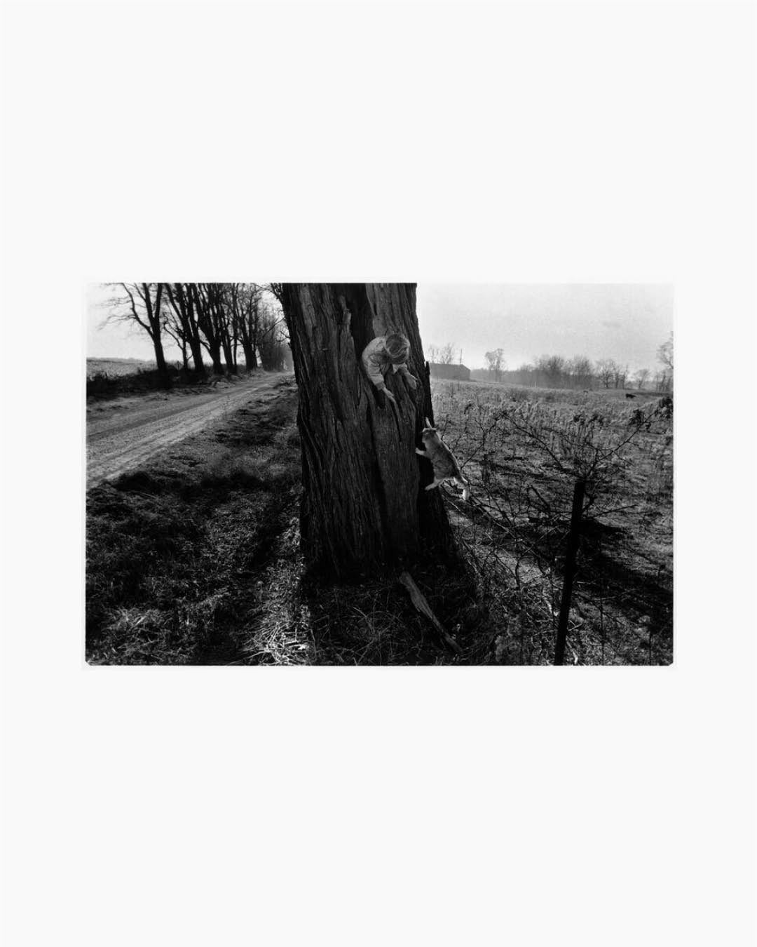 Fine Print: Naomi Towell with her cat in a hollow black locust tree. Lambton County, Ontario, Canada, 1990