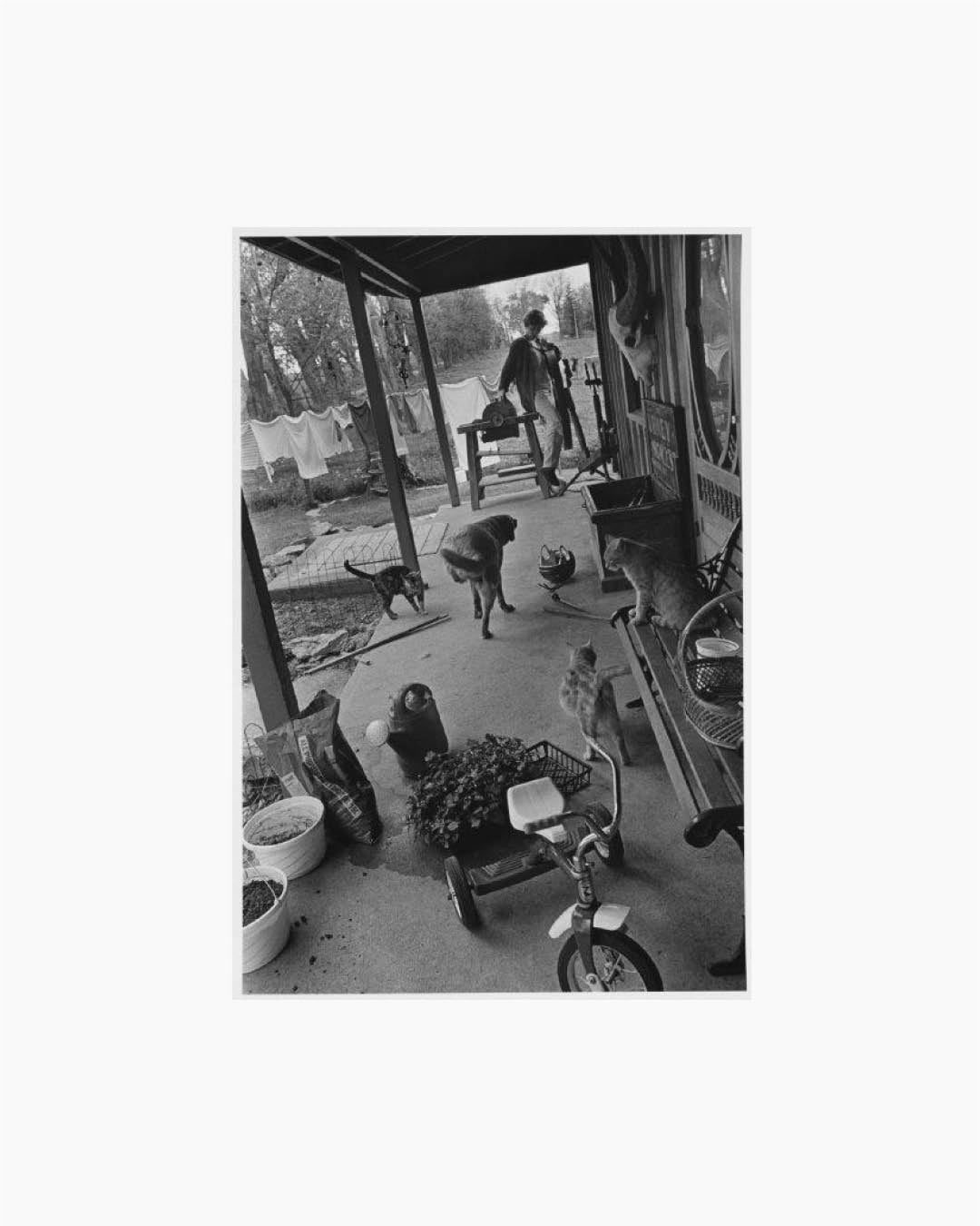 Fine Print: Ann Towell enters the porch from the south side in the process of transplanting flowers into flowerbeds. Lambton County, Ontario, Canada, 1998