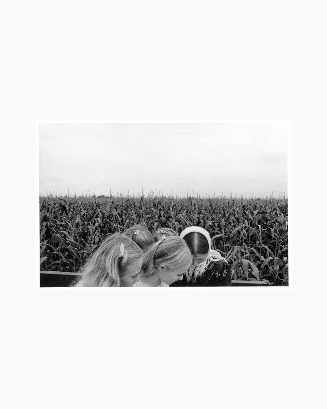 Fine Print: Lambton County, Ontario, Canada, 1990